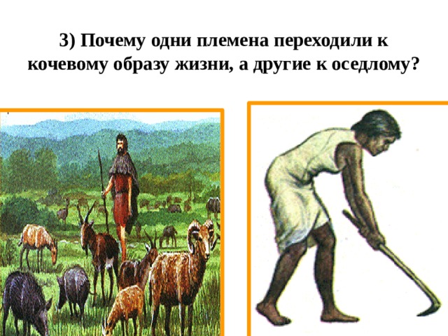 3) Почему одни племена переходили к кочевому образу жизни, а другие к оседлому? 