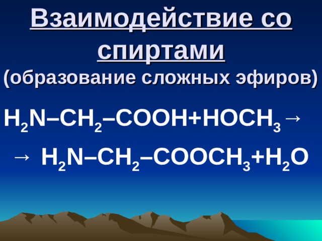 Взаимодействие со спиртами  (образование сложных эфиров) H 2 N–CH 2 –COOH +НОСН 3 → → H 2 N–CH 2 –COO С H 3 +Н 2 О  