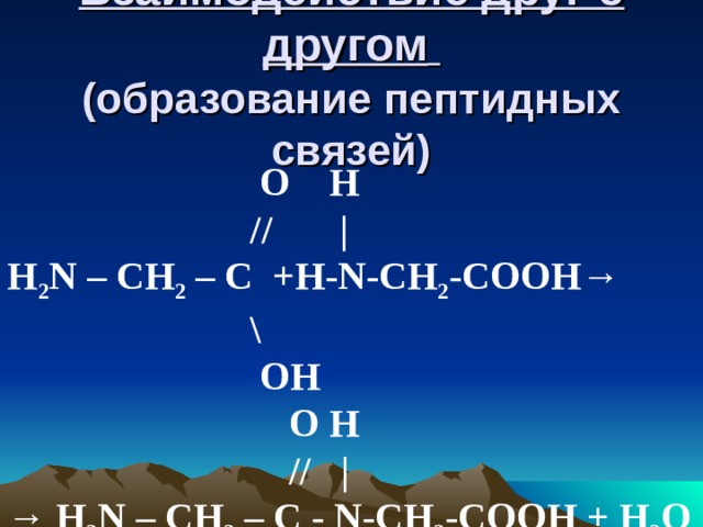 Взаимодействие друг с другом   (образование пептидных связей)  О H  //   | H 2 N – CH 2 – C +Н- N-CH 2 -COOH →  \  ОН  О H  //  | → H 2 N – CH 2 – C - N-CH 2 -COOH + H 2 O      