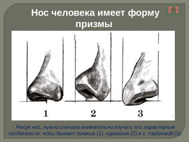 Как рисовать нос с горбинкой