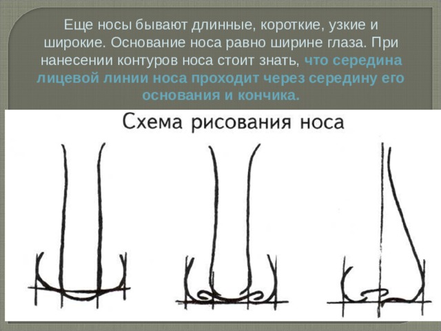 Как измерить длину носа человека схема