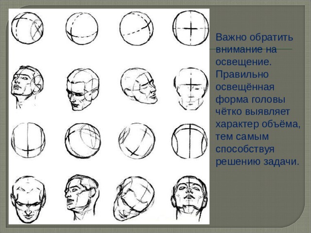 Конструкция головы человека. Форма головы. Разные формы головы человека. Изображение головы.