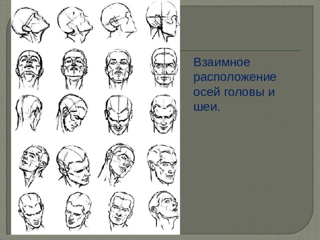 Изображение головы человека в пространстве презентация изо 6 класс