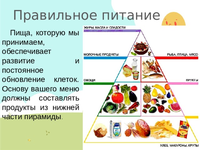 Правильное питание Пища, которую мы принимаем, обеспечивает развитие и постоянное обновление клеток. Основу вашего меню должны составлять продукты из нижней части пирамиды . 