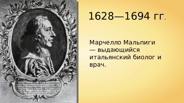 1628—1694 гг . Марчелло Мальпиги — выдающийся итальянский биолог и врач. Magnus Manske 