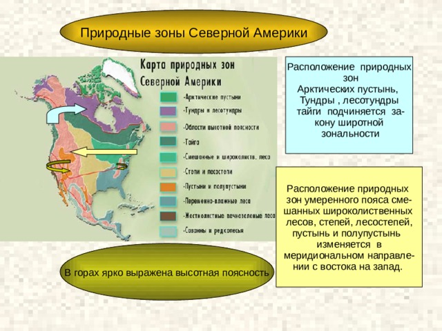 Гигантский срединный хребет протянулся почти в меридиональном направлении и разделил его на 2 части