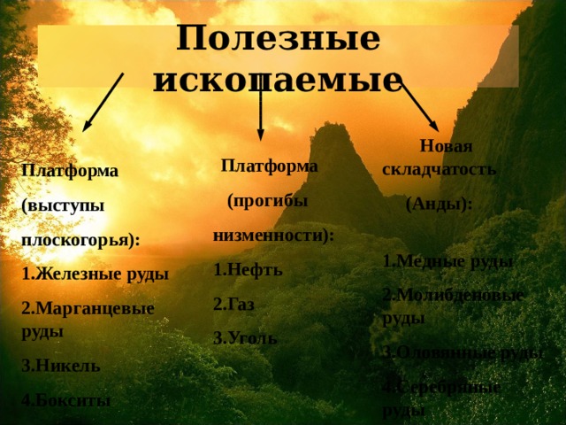 Полезные ископаемые  Новая складчатость  (Анды): 1.Медные руды 2.Молибденовые руды 3.Оловянные руды 4.Серебряные руды   Платформа  (прогибы низменности): 1.Нефть 2.Газ 3.Уголь Платформа (выступы плоскогорья): 1.Железные руды 2.Марганцевые руды 3.Никель 4.Бокситы 