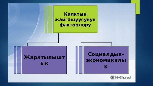 Калктын жайгашуусунун факторлору Жаратылыштык Социалдык-экономикалык 