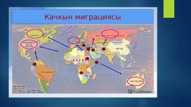 Акыл агымын өзүнө тартуу 