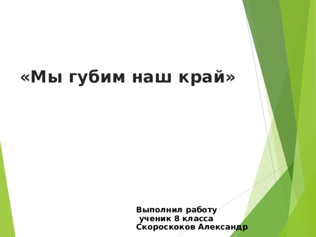   «Мы губим наш край»   Выполнил работу  ученик 8 класса Скороскоков Александр 