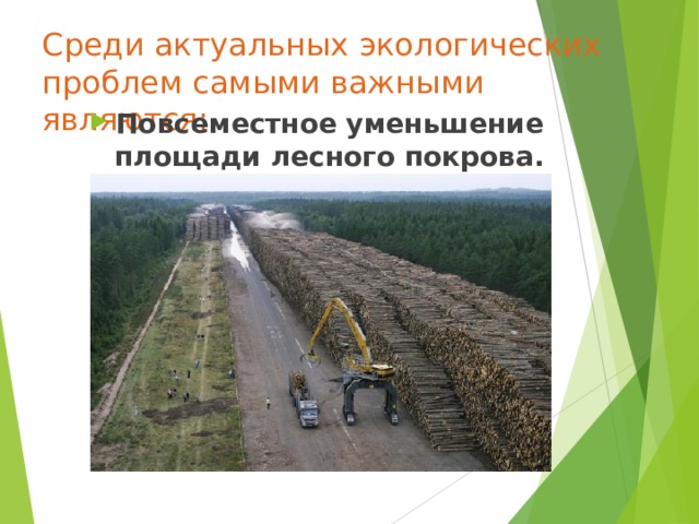 Среди актуальных экологических проблем самыми важными являются:   П овсеместное уменьшение площади лесного покрова. 