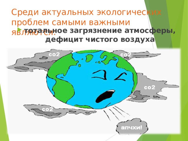 Среди актуальных экологических проблем самыми важными являются:   тотальное загрязнение атмосферы, дефицит чистого воздуха 