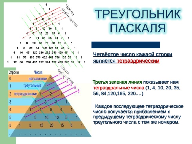 Треугольник паскаля презентация