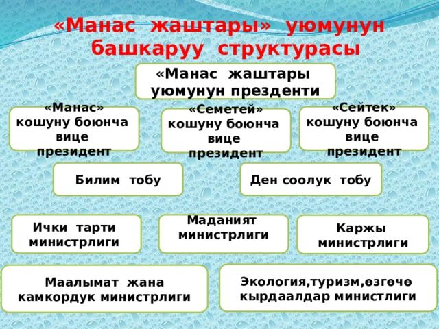 «Манас жаштары» уюмунун башкаруу структурасы    Сабактын максаты                       «Манас жаштары уюмунун презденти «Сейтек» кошуну боюнча вице президент «Манас» кошуну боюнча вице президент «Семетей» кошуну боюнча вице президент Ден соолук тобу Билим тобу Ички тарти министрлиги Маданият министрлиги  Каржы министрлиги Экология,туризм,өзгөчө кырдаалдар министлиги Маалымат жана камкордук министрлиги 