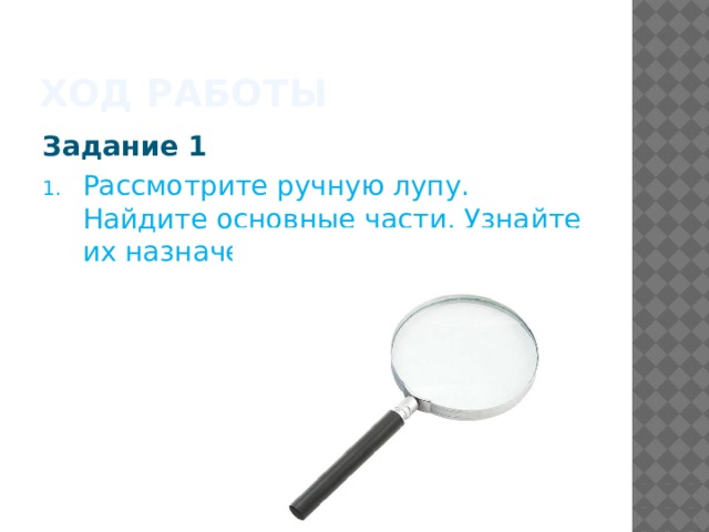 Что является основной частью лупы обеспечивающей увеличение изображения ответ