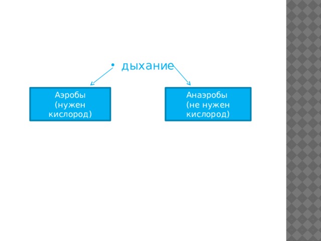 Для чего нужен кислород. Кислород нужен. Аэробы это. Дыхание аэробы и анаэробы. Аэробы дышат.