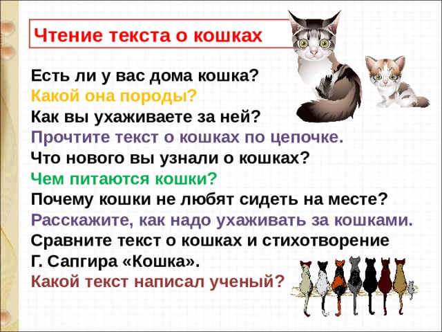 Чтение текста о кошках Есть ли у вас дома кошка?   Какой она породы?   Как вы ухаживаете за ней?   Прочтите текст о кошках по цепочке.    Что нового вы узнали о кошках?  Чем питаются кошки?   Почему кошки не любят сидеть на месте?   Расскажите, как надо ухаживать за кошками.   Сравните текст о кошках и стихотворение Г. Сапгира «Кошка». Какой текст написал ученый?     