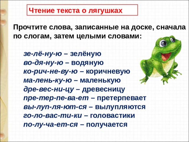 Чтение текста о лягушках  Прочтите слова, записанные на доске, сначала по слогам, затем целыми словами:     зе-лё-ну-ю  – зелёную        во-дя-ну-ю  – водяную         ко-рич-не-ву-ю  – коричневую         ма-лень-ку-ю  – маленькую         дре-вес-ни-цу  – древесницу         пре-тер-пе-ва-ет  – претерпевает         вы-луп-ля-ют-ся  – вылупляются        го-ло-вас-ти-ки  – головастики         по-лу-ча-ет-ся  – получается  