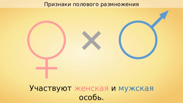 Признаки полового размножения Участвуют женская и мужская особь. 