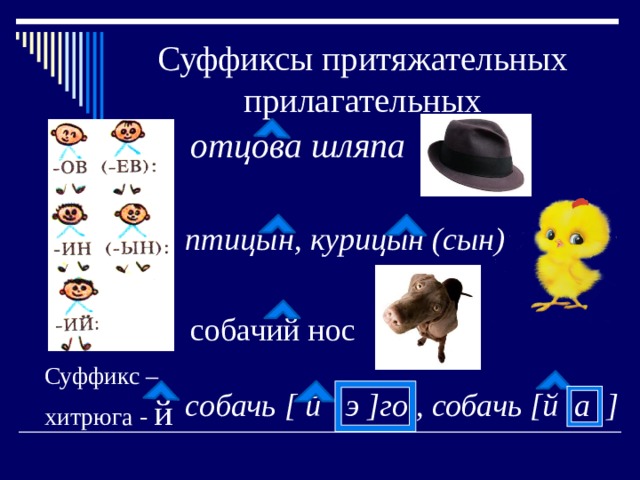 Суффиксы притяжательных прилагательных отцова шляпа птицын, курицын (сын) собачий нос Суффикс – хитрюга - й cобачь [ й э ]го , собачь [й а ]  
