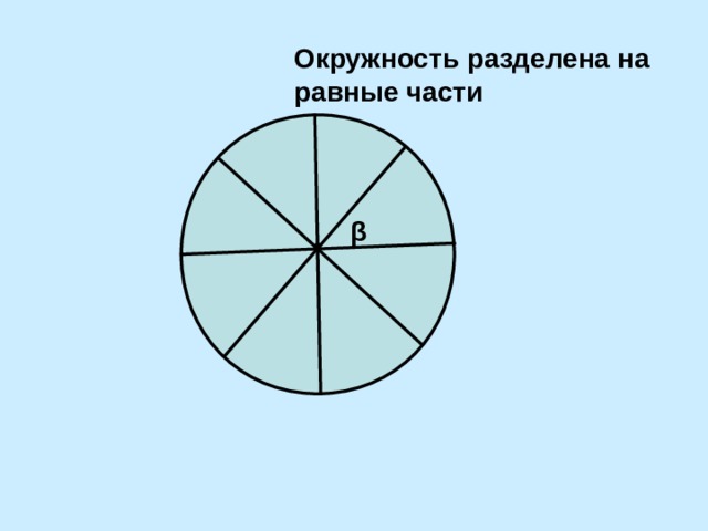 Круг деленный на равные части. Деление окружности на равные части. Круг разделенный на семь частей.