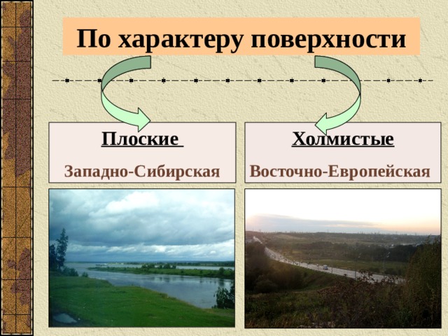 По характеру поверхности Плоские Холмистые Западно-Сибирская Восточно-Европейская 