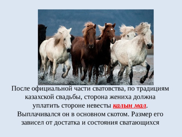 Калын мал  (калым)        После официальной части сватовства, по традициям казахской свадьбы, сторона жениха должна уплатить стороне невесты калын мал . Выплачивался он в основном скотом. Размер его зависел от достатка и состояния сватающихся 