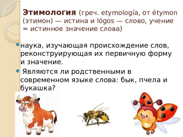 Этимология  (греч. etymología, от étymon (этимон) — истина и lógos — слово, учение = истинное значение слова) наука, изучающая происхождение слов, реконструирующая их первичную форму и значение.  Являются ли родственными в современном языке слова: бык, пчела и букашка? 