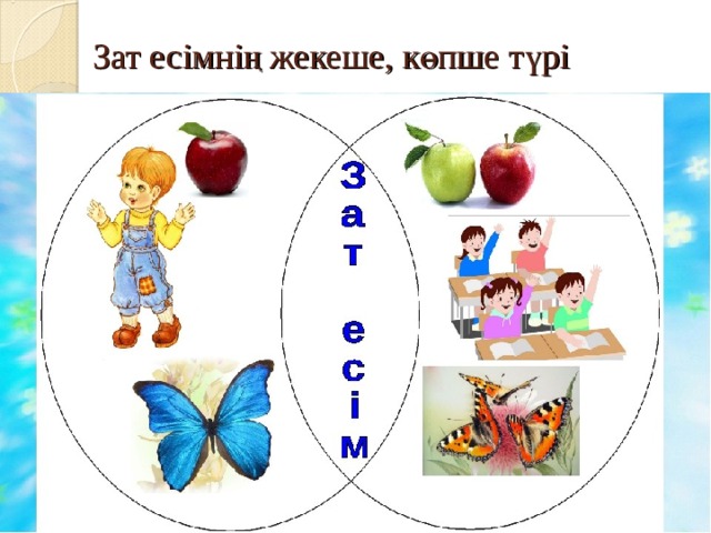  Зат есімнің жекеше, көпше түрі 