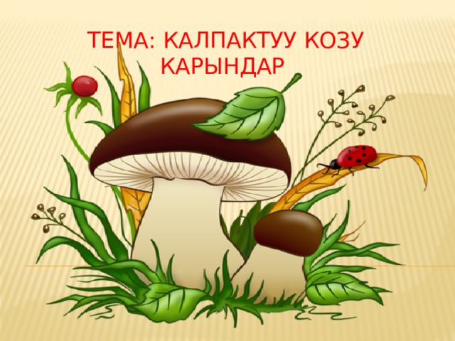 ТЕМА: Калпактуу козу карындар 