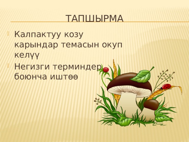Тапшырма Калпактуу козу карындар темасын окуп келүү Негизги терминдер боюнча иштөө 