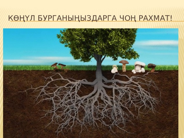 Көңүл бурганыңыздарга чоң рахмат! 