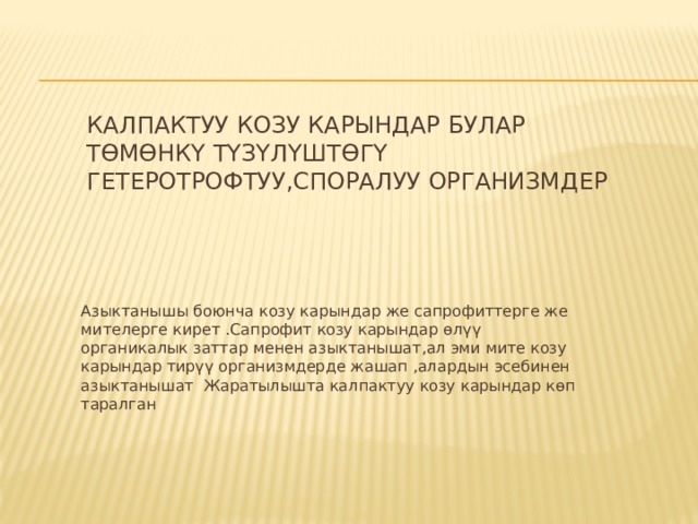 Калпактуу козу карындар булар төмөнкү түзүлүштөгү гетеротрофтуу,споралуу организмдер  Азыктанышы боюнча козу карындар же сапрофиттерге же мителерге кирет .Сапрофит козу карындар өлүү органикалык заттар менен азыктанышат,ал эми мите козу карындар тирүү организмдерде жашап ,алардын эсебинен азыктанышат Жаратылышта калпактуу козу карындар көп таралган 