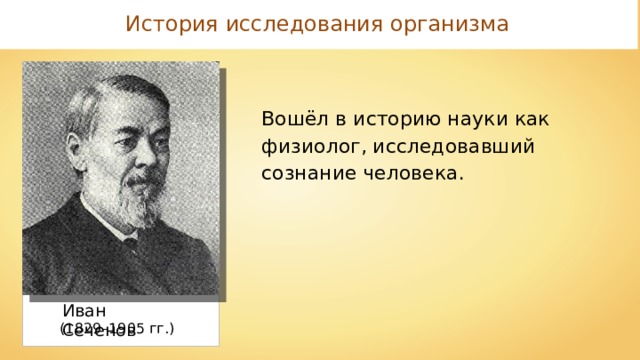 История исследования организма Вошёл в историю науки как физиолог, исследовавший сознание человека. Иван Сеченов (1829–1905 гг.) 