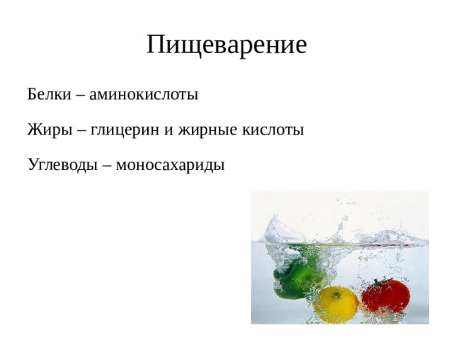 Пищеварение Белки – аминокислоты Жиры – глицерин и жирные кислоты Углеводы – моносахариды 