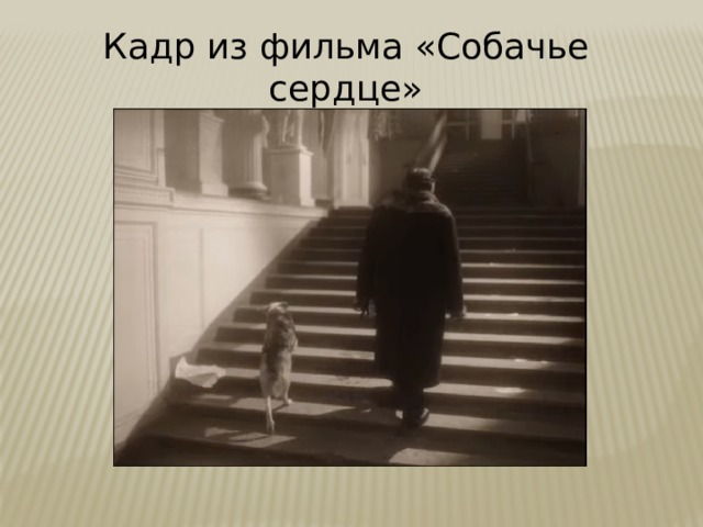 Кадр из фильма «Собачье сердце» 