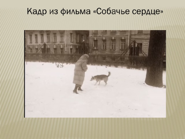 Изображение москвы в собачьем сердце