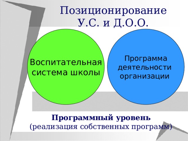 Позиционирование У.С. и Д.О.О. Воспитательная система школы Программа деятельности организации Программный уровень (реализация собственных программ) 