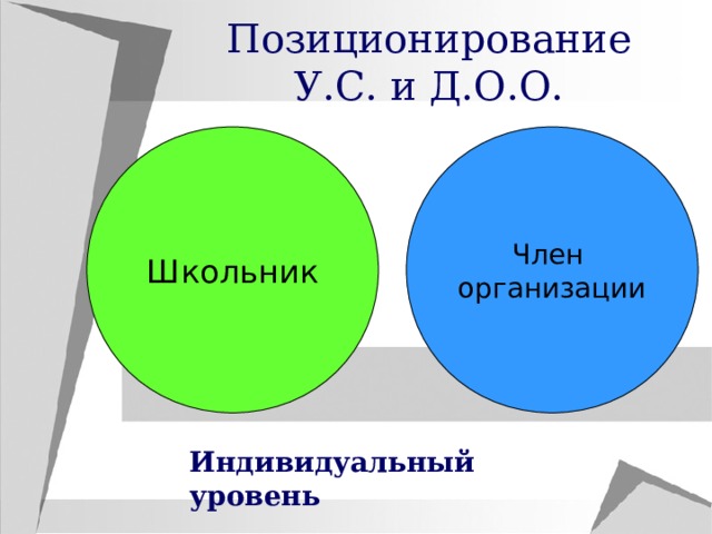 Позиционирование У.С. и Д.О.О. Школьник Член организации Индивидуальный уровень 