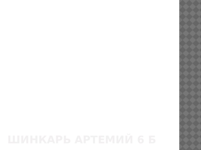 Шинкарь артемий 6 б 