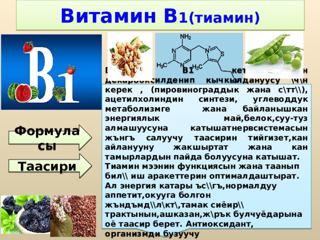 Витамин В 1(тиамин) Витамин B1 кетокислотанын декарбоксилденип кычкылдануусу \ч\н керек , (пировинограддык жана с\тт\\), ацетилхолиндин синтези, углеводдук метаболизмге жана байланышкан энергиялык май,белок,суу-туз алмашуусуна катышатнервсистемасын жънгъ салуучу таасирин тийгизет,кан айланууну жакшыртат жана кан тамырлардын пайда болуусуна катышат. Тиамин мээнин функциясын жана таанып бил\\ иш аракеттерин оптималдаштырат. Ал энергия катары ъс\\гъ,нормалдуу аппетит,окууга болгон жъндъмд\\л\кт\,тамак сиёир\\ трактынын,ашказан,ж\рък булчуёдарына оё таасир берет. Антиоксидант, организмди бузуучу картаюга,тамеки.алкогольго таасир этет. Формуласы Таасири 