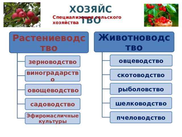 Заполните схему сельское хозяйство растениеводство животноводство