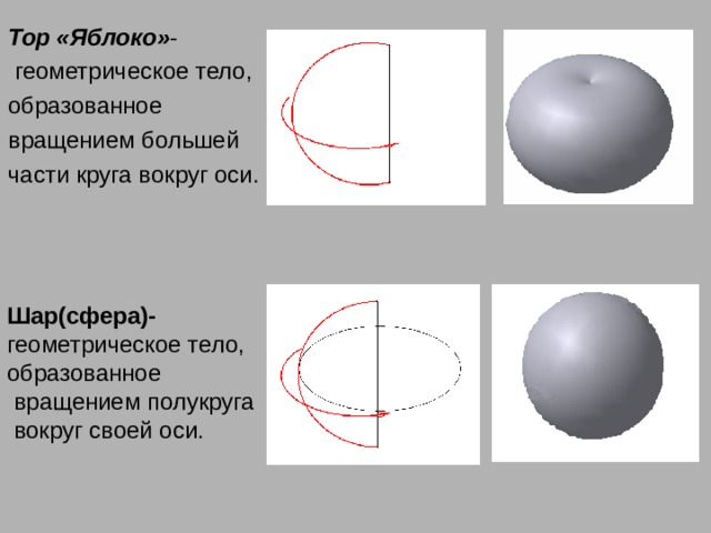 Тор «Яблоко» -  геометрическое тело, образованное вращением большей части круга вокруг оси. Шар(сфера)- геометрическое тело, образованное  вращением полукруга  вокруг своей оси. 