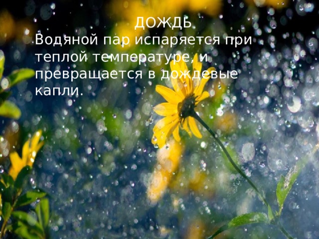 ДОЖДЬ Водяной пар испаряется при теплой температуре, и превращается в дождевые капли. 