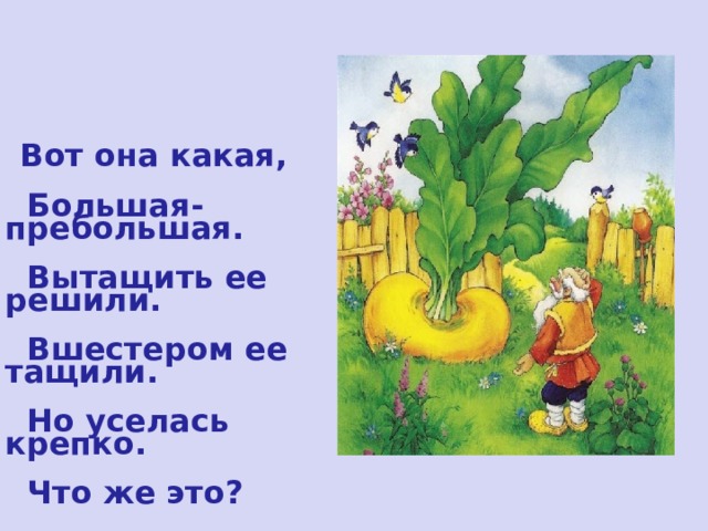  Вот она какая,   Большая-пребольшая.   Вытащить ее решили.   Вшестером ее тащили.   Но уселась крепко.   Что же это?  