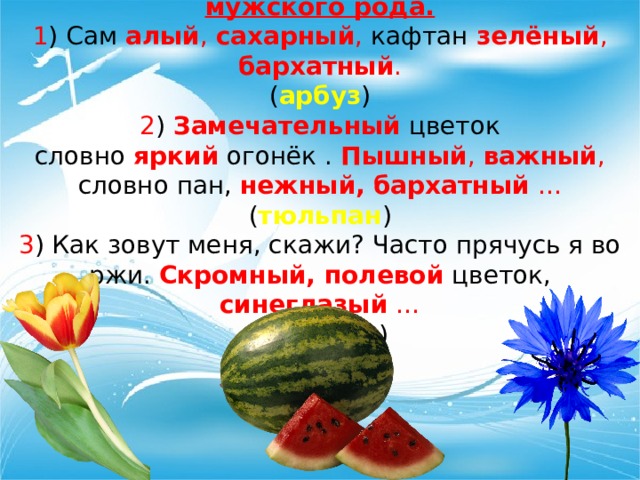 Имя прилагательное единственного числа мужского рода. 1 ) Сам алый , сахарный , кафтан зелёный , бархатный . ( арбуз ) 2 ) Замечательный цветок словно яркий огонёк . Пышный , важный , словно пан, нежный, бархатный … ( тюльпан ) 3 ) Как зовут меня, скажи? Часто прячусь я во ржи. Скромный, полевой цветок, синеглазый … ( василёк ) 