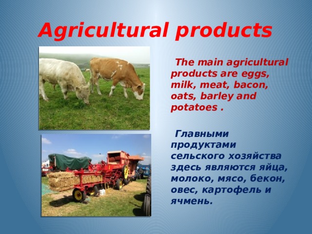 Agricultural products  The main agricultural products are eggs, milk, meat, bacon, oats, barley and potatoes .   Главными продуктами сельского хозяйства здесь являются яйца, молоко, мясо, бекон, овес, картофель и ячмень.  