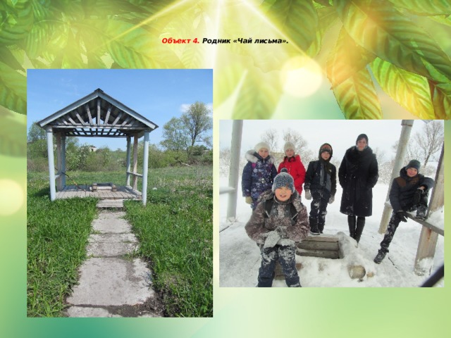   Объект 4. Родник «Чай лисьма».        