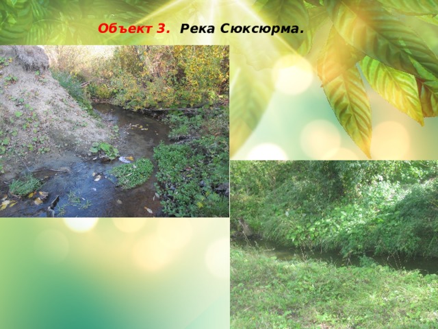  Объект 3. Река Сюксюрма.     