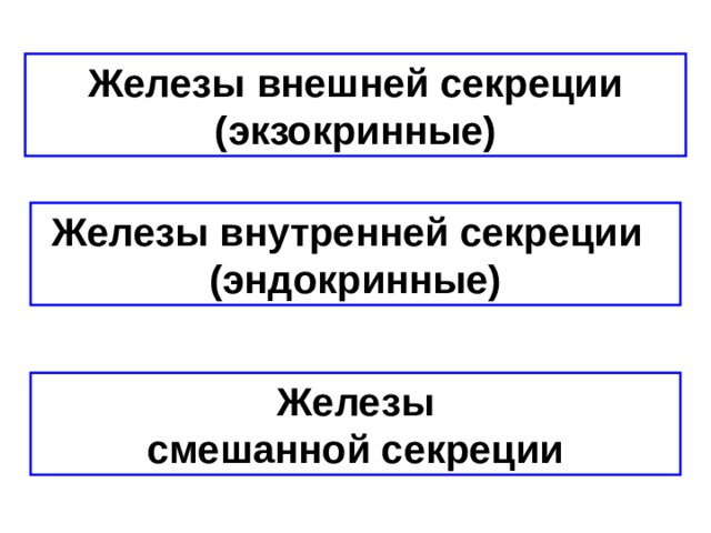 Презентация на тему: "Гуморальная регуляция. Эндокринная система человека, ее ос